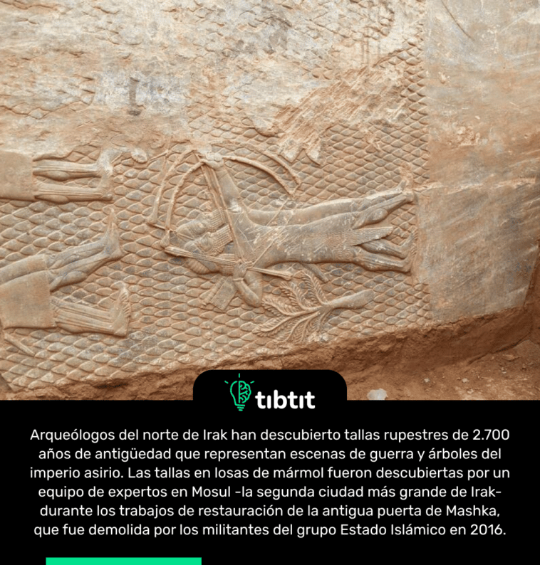 Arqueólogos del norte de Irak han descubierto tallas rupestres de 2.700 años de antigüedad que representan escenas de guerra y árboles del imperio asirio. Las tallas en losas de mármol fueron descubiertas por un equipo de expertos en Mosul -la segunda ciudad más grande de Irak- durante los trabajos de restauración de la antigua puerta de Mashka, que fue demolida por los militantes del grupo Estado Islámico en 2016.