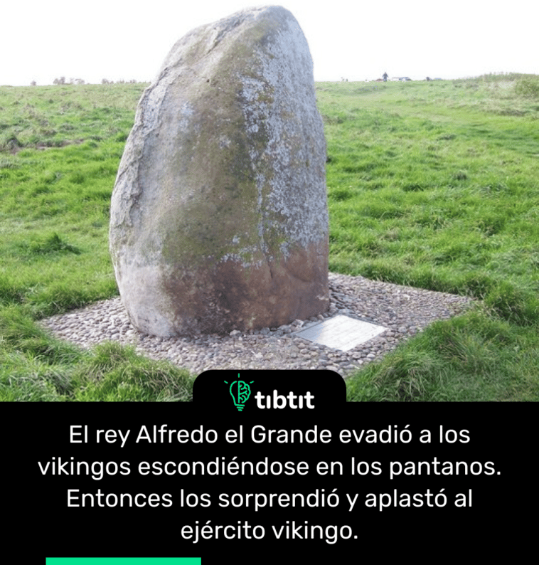 El rey Alfredo el Grande evadió a los vikingos escondiéndose en los pantanos. Entonces los sorprendió y aplastó al ejército vikingo.