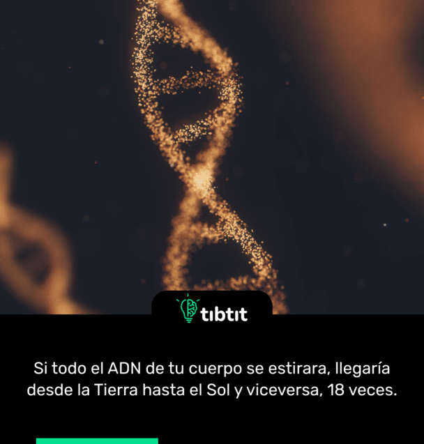 Si todo el ADN de tu cuerpo se estirara, llegaría desde la Tierra hasta el Sol y viceversa, 18 veces.