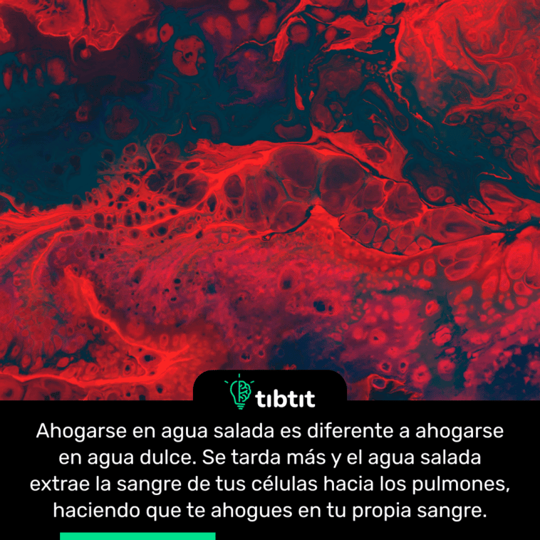 Ahogarse en agua salada es diferente a ahogarse en agua dulce. Se tarda más y el agua salada extrae la sangre de tus células hacia los pulmones, haciendo que te ahogues en tu propia sangre.