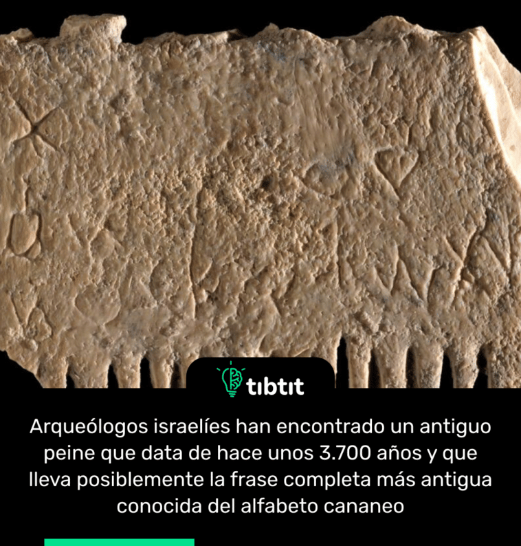 Arqueólogos israelíes han encontrado un antiguo peine que data de hace unos 3.700 años y que lleva posiblemente la frase completa más antigua conocida del alfabeto cananeo