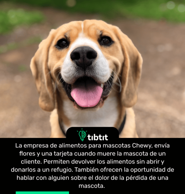 La empresa de alimentos para mascotas Chewy, envía flores y una tarjeta cuando muere la mascota de un cliente. Permiten devolver los alimentos sin abrir y donarlos a un refugio. También ofrecen la oportunidad de hablar con alguien sobre el dolor de la pérdida de una mascota.