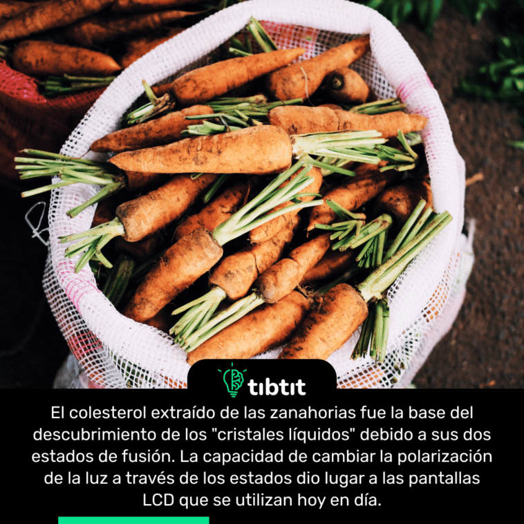 El colesterol extraído de las zanahorias fue la base del descubrimiento de los "cristales líquidos" debido a sus dos estados de fusión. La capacidad de cambiar la polarización de la luz a través de los estados dio lugar a las pantallas LCD que se utilizan hoy en día.
