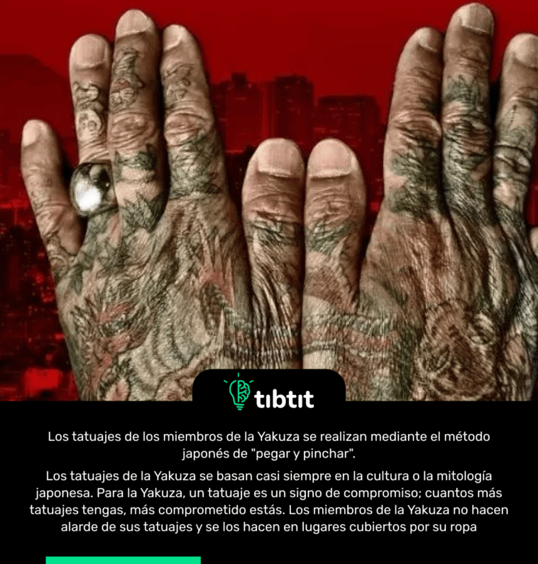 Los tatuajes de los miembros de la Yakuza se realizan mediante el método japonés de "pegar y pinchar". Los tatuajes de la Yakuza se basan casi siempre en la cultura o la mitología japonesa. Para la Yakuza, un tatuaje es un signo de compromiso; cuantos más tatuajes tengas, más comprometido estás. Los miembros de la Yakuza no hacen alarde de sus tatuajes y se los hacen en lugares cubiertos por su ropa