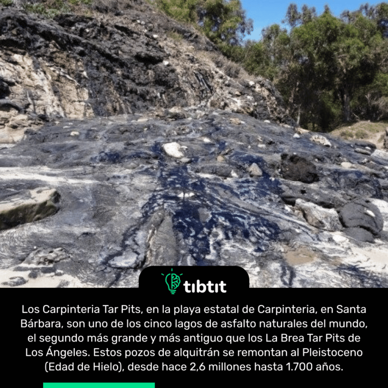 Los Carpinteria Tar Pits, en la playa estatal de Carpinteria, en Santa Bárbara, son uno de los cinco lagos de asfalto naturales del mundo, el segundo más grande y más antiguo que los La Brea Tar Pits de Los Ángeles. Estos pozos de alquitrán se remontan al Pleistoceno (Edad de Hielo), desde hace 2,6 millones hasta 1.700 años.