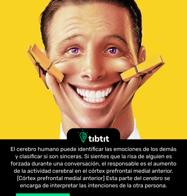 El cerebro humano puede identificar las emociones de los demás y clasificar si son sinceras. Si sientes que la risa de alguien es forzada durante una conversación, el responsable es el aumento de la actividad cerebral en el córtex prefrontal medial anterior. [Córtex prefrontal medial anterior] Esta parte del cerebro se encarga de interpretar las intenciones de la otra persona.