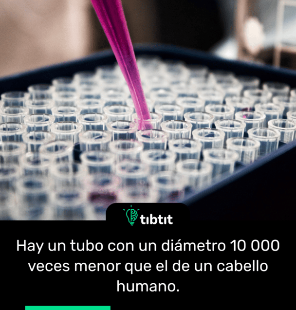 Hay un tubo con un diámetro 10 000 veces menor que el de un cabello humano.