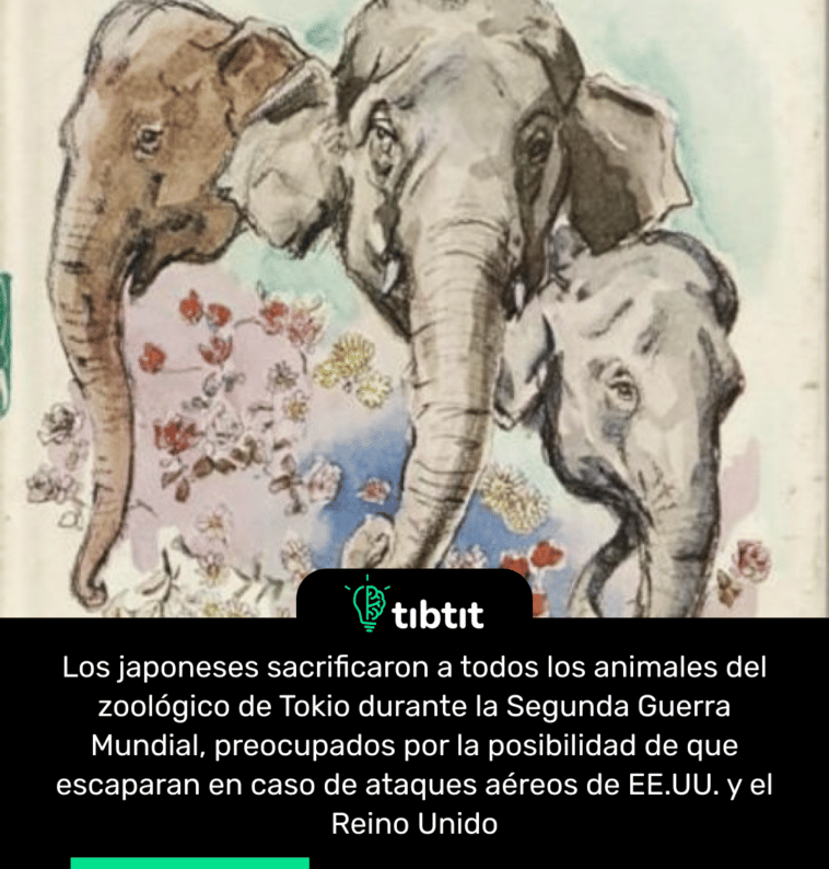 Los japoneses sacrificaron a todos los animales del zoológico de Tokio durante la Segunda Guerra Mundial, preocupados por la posibilidad de que escaparan en caso de ataques aéreos de EE.UU. y el Reino Unido