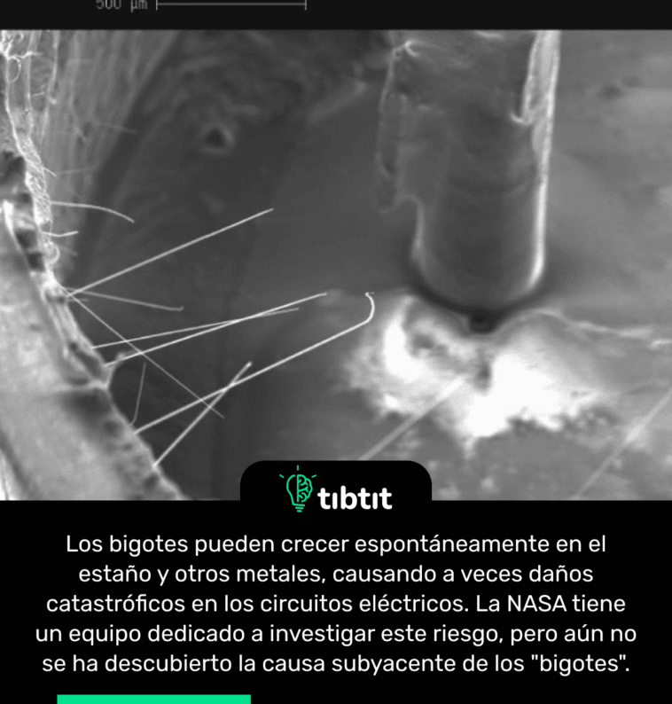 Los bigotes pueden crecer espontáneamente en el estaño y otros metales, causando a veces daños catastróficos en los circuitos eléctricos. La NASA tiene un equipo dedicado a investigar este riesgo, pero aún no se ha descubierto la causa subyacente de los "bigotes".