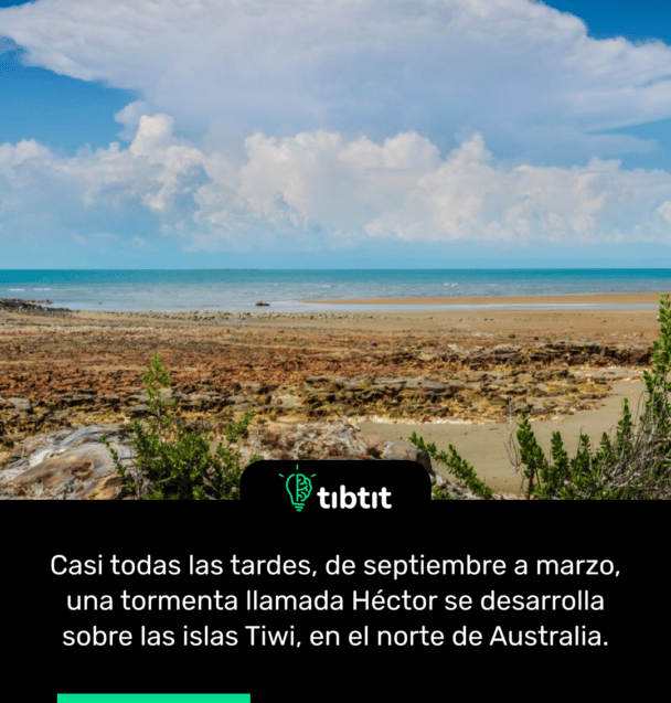 Casi todas las tardes, de septiembre a marzo, una tormenta llamada Héctor se desarrolla sobre las islas Tiwi, en el norte de Australia.