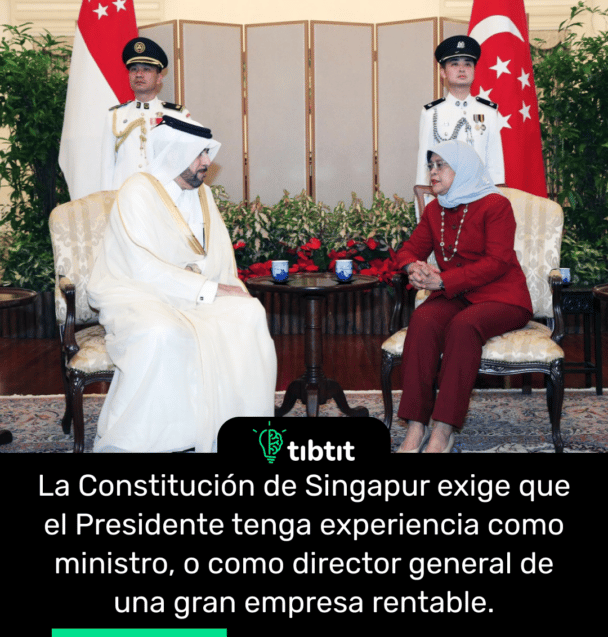 La Constitución de Singapur exige que el Presidente tenga experiencia como ministro, o como director general de una gran empresa rentable.