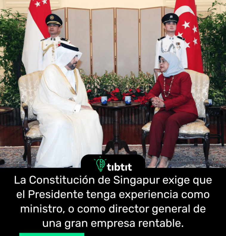 La Constitución de Singapur exige que el Presidente tenga experiencia como ministro, o como director general de una gran empresa rentable.
