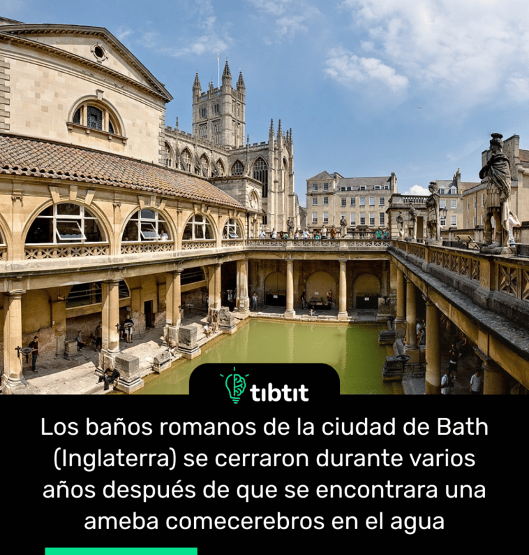 Los baños romanos de la ciudad de Bath (Inglaterra) se cerraron durante varios años después de que se encontrara una ameba comecerebros en el agua
