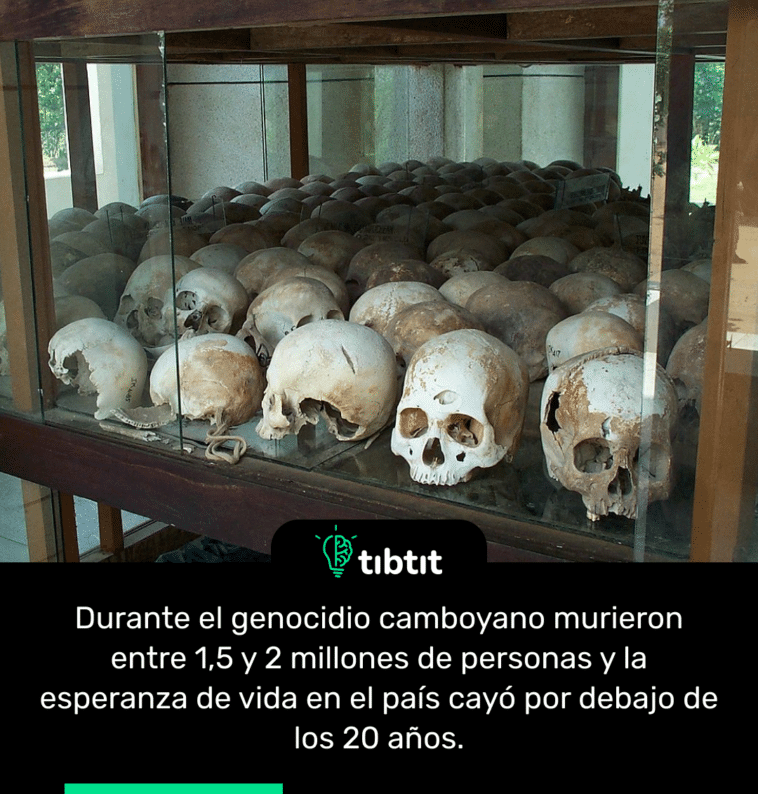 Durante el genocidio camboyano murieron entre 1,5 y 2 millones de personas y la esperanza de vida en el país cayó por debajo de los 20 años.