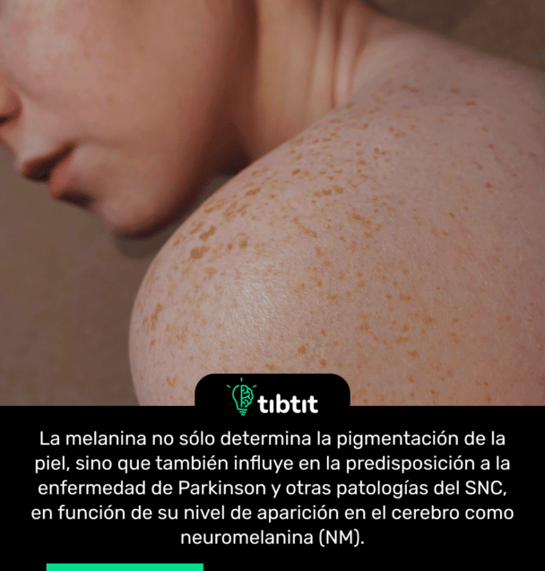 La melanina no sólo determina la pigmentación de la piel, sino que también influye en la predisposición a la enfermedad de Parkinson y otras patologías del SNC, en función de su nivel de aparición en el cerebro como neuromelanina (NM).