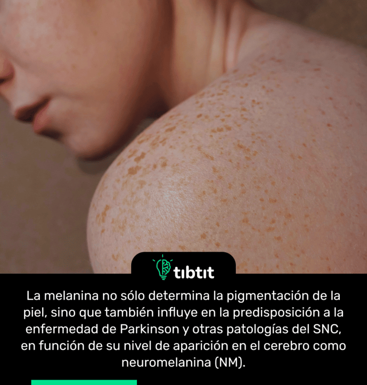 La melanina no sólo determina la pigmentación de la piel, sino que también influye en la predisposición a la enfermedad de Parkinson y otras patologías del SNC, en función de su nivel de aparición en el cerebro como neuromelanina (NM).