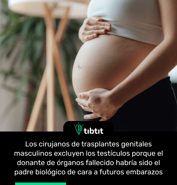 Los cirujanos de trasplantes genitales masculinos excluyen los testículos porque el donante de órganos fallecido habría sido el padre biológico de cara a futuros embarazos