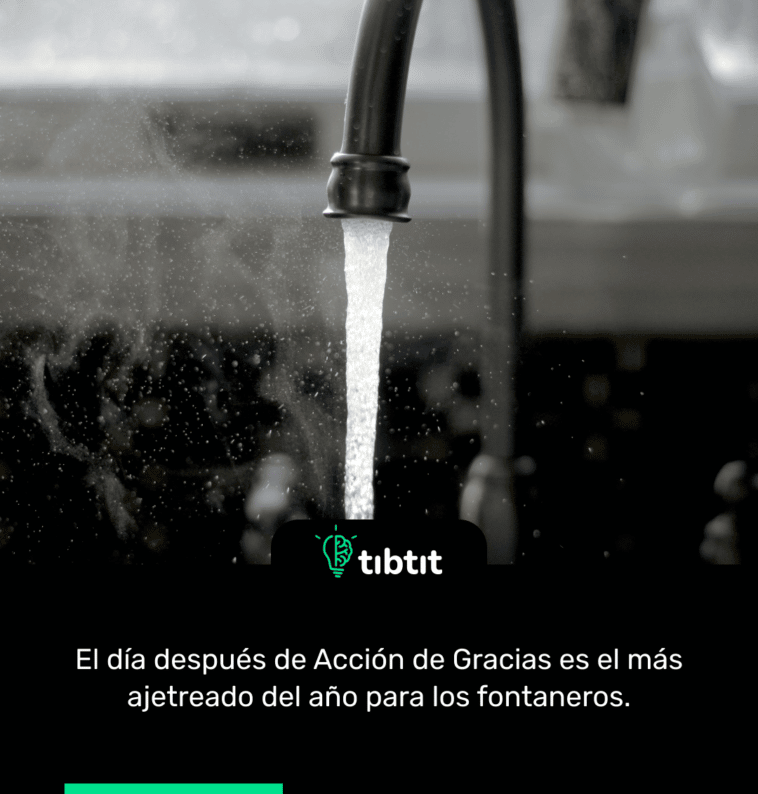 El día después de Acción de Gracias es el más ajetreado del año para los fontaneros.