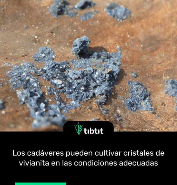 Los cadáveres pueden cultivar cristales de vivianita en las condiciones adecuadas