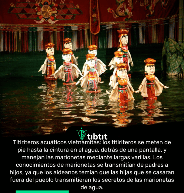 Titiriteros acuáticos vietnamitas: los titiriteros se meten de pie hasta la cintura en el agua, detrás de una pantalla, y manejan las marionetas mediante largas varillas. Los conocimientos de marionetas se transmitían de padres a hijos, ya que los aldeanos temían que las hijas que se casaran fuera del pueblo transmitieran los secretos de las marionetas de agua.