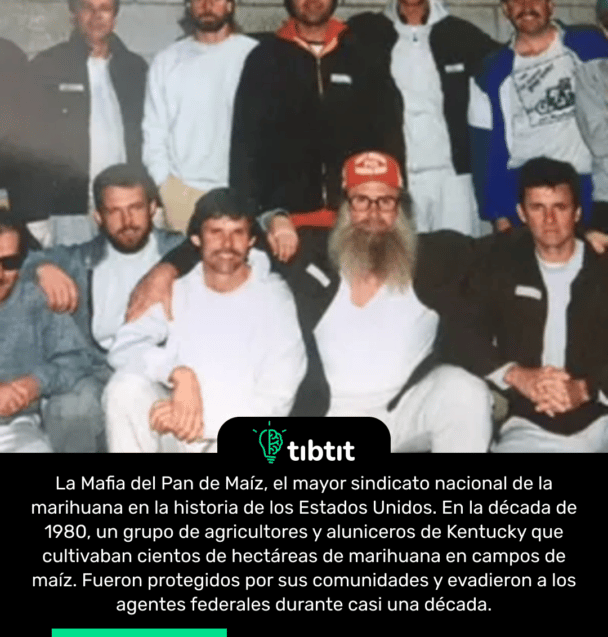 La Mafia del Pan de Maíz, el mayor sindicato nacional de la marihuana en la historia de los Estados Unidos. En la década de 1980, un grupo de agricultores y aluniceros de Kentucky que cultivaban cientos de hectáreas de marihuana en campos de maíz. Fueron protegidos por sus comunidades y evadieron a los agentes federales durante casi una década.