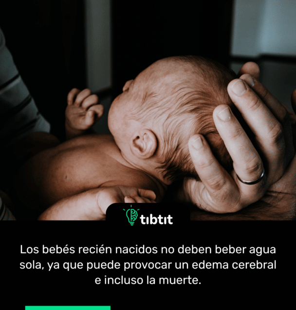 Los bebés recién nacidos no deben beber agua sola, ya que puede provocar un edema cerebral e incluso la muerte.