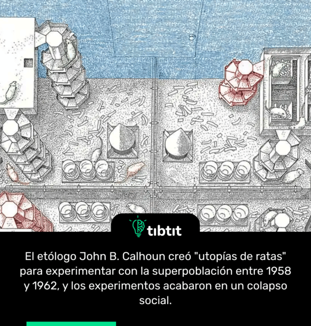 El etólogo John B. Calhoun creó "utopías de ratas" para experimentar con la superpoblación entre 1958 y 1962, y los experimentos acabaron en un colapso social.