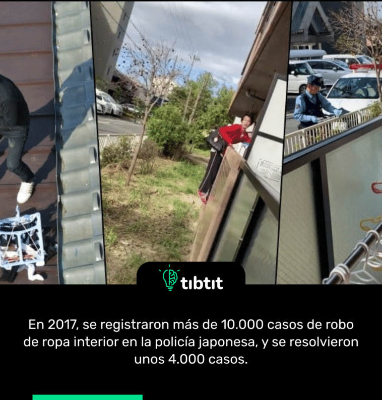 En 2017, se registraron más de 10.000 casos de robo de ropa interior en la policía japonesa, y se resolvieron unos 4.000 casos.