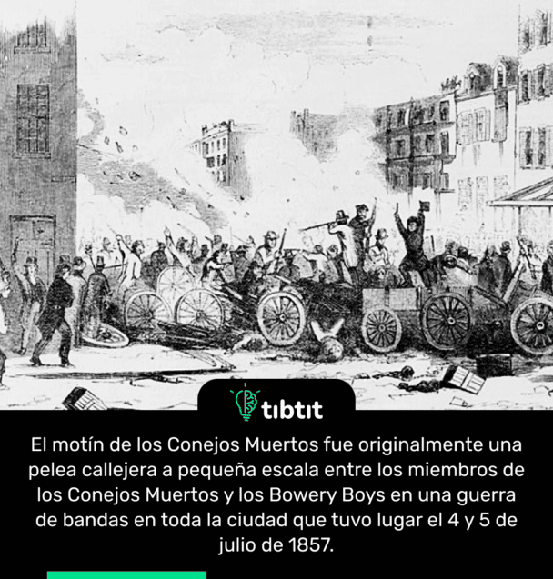 El motín de los Conejos Muertos fue originalmente una pelea callejera a pequeña escala entre los miembros de los Conejos Muertos y los Bowery Boys en una guerra de bandas en toda la ciudad que tuvo lugar el 4 y 5 de julio de 1857.
