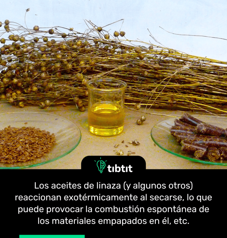 Los aceites de linaza (y algunos otros) reaccionan exotérmicamente al secarse, lo que puede provocar la combustión espontánea de los materiales empapados en él, etc.