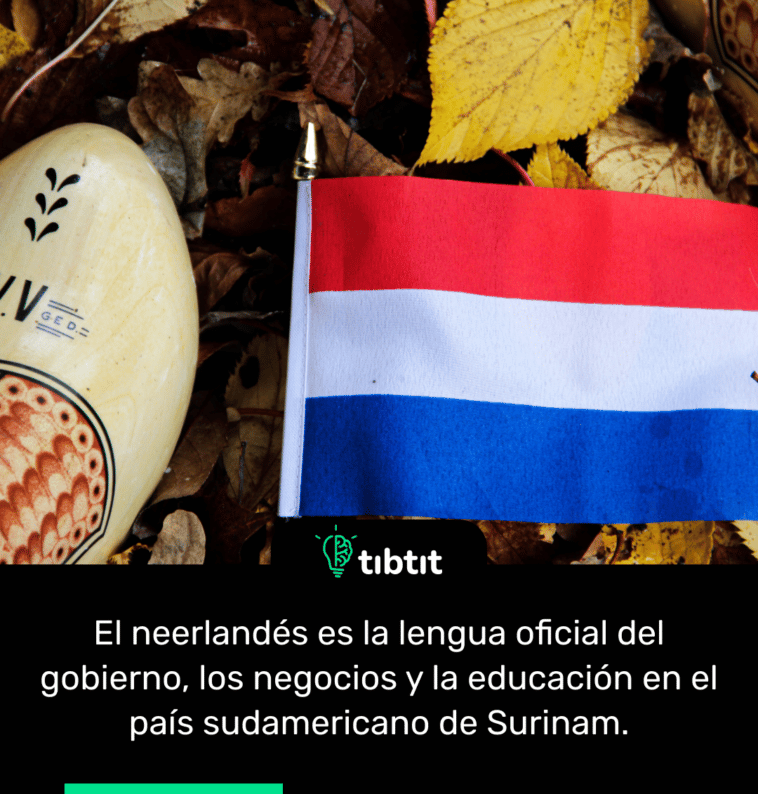 El neerlandés es la lengua oficial del gobierno, los negocios y la educación en el país sudamericano de Surinam.