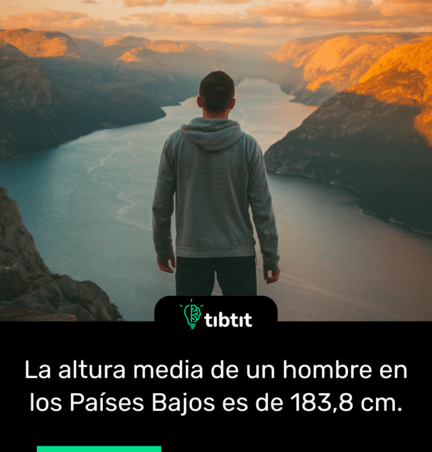 La altura media de un hombre en los Países Bajos es de 183,8 cm.