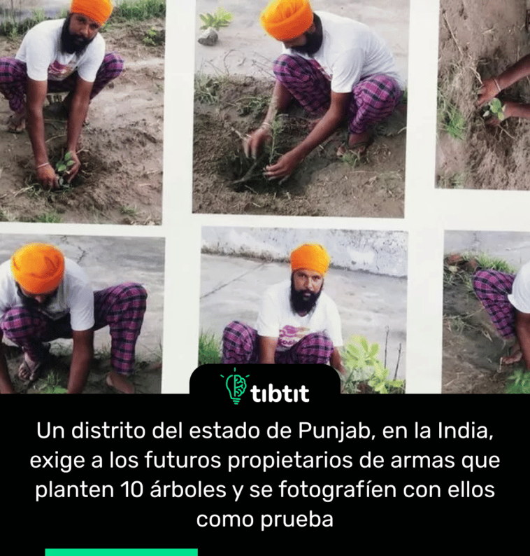 Un distrito del estado de Punjab, en la India, exige a los futuros propietarios de armas que planten 10 árboles y se fotografíen con ellos como prueba