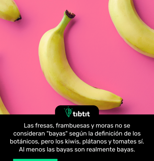 Las fresas, frambuesas y moras no se consideran "bayas" según la definición de los botánicos, pero los kiwis, plátanos y tomates sí. Al menos las bayas son realmente bayas.