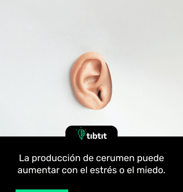 La producción de cerumen puede aumentar con el estrés o el miedo.