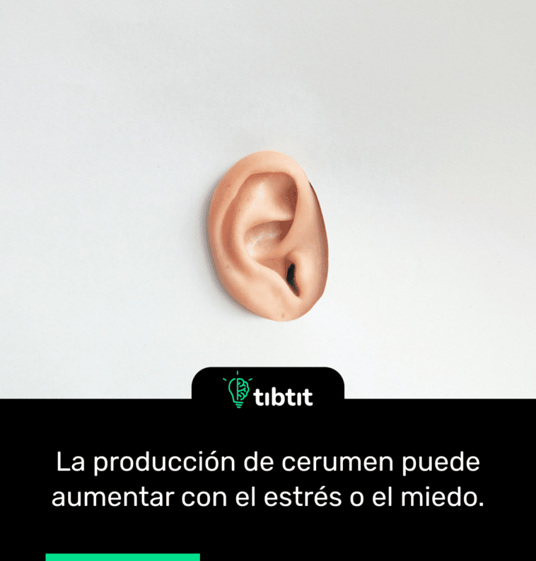La producción de cerumen puede aumentar con el estrés o el miedo.