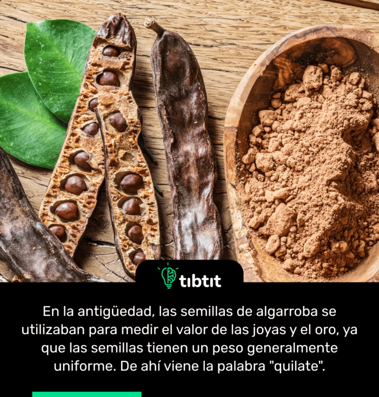 En la antigüedad, las semillas de algarroba se utilizaban para medir el valor de las joyas y el oro, ya que las semillas tienen un peso generalmente uniforme. De ahí viene la palabra "quilate".