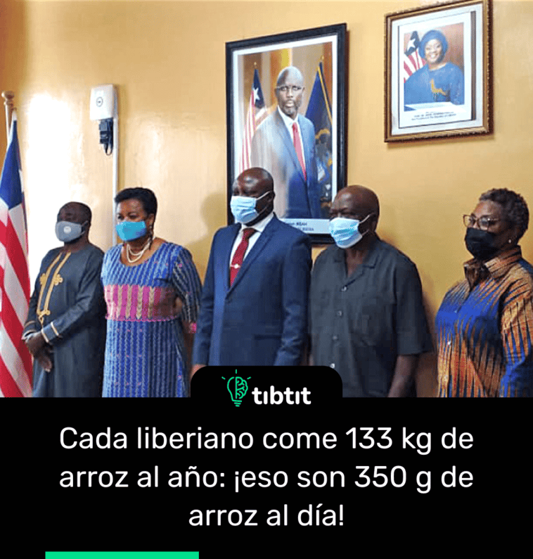 Cada liberiano come 133 kg de arroz al año: ¡eso son 350 g de arroz al día!