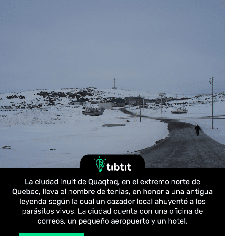 La ciudad inuit de Quaqtaq, en el extremo norte de Quebec, lleva el nombre de tenias, en honor a una antigua leyenda según la cual un cazador local ahuyentó a los parásitos vivos. La ciudad cuenta con una oficina de correos, un pequeño aeropuerto y un hotel.