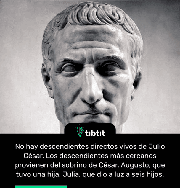 No hay descendientes directos vivos de Julio César. Los descendientes más cercanos provienen del sobrino de César, Augusto, que tuvo una hija, Julia, que dio a luz a seis hijos.