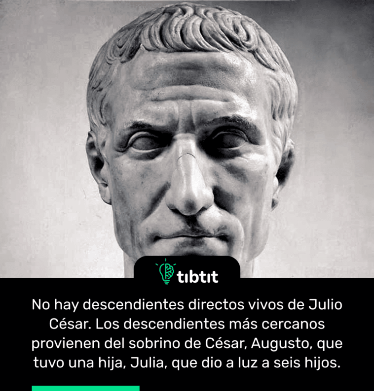 No hay descendientes directos vivos de Julio César. Los descendientes más cercanos provienen del sobrino de César, Augusto, que tuvo una hija, Julia, que dio a luz a seis hijos.