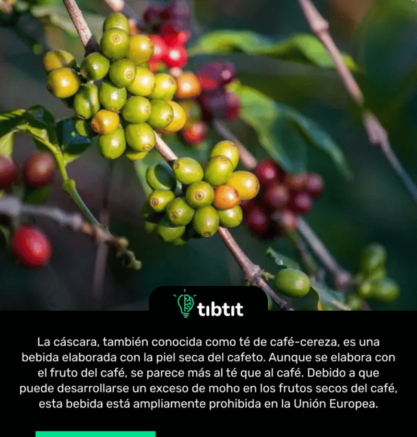 La cáscara, también conocida como té de café-cereza, es una bebida elaborada con la piel seca del cafeto. Aunque se elabora con el fruto del café, se parece más al té que al café. Debido a que puede desarrollarse un exceso de moho en los frutos secos del café, esta bebida está ampliamente prohibida en la Unión Europea.