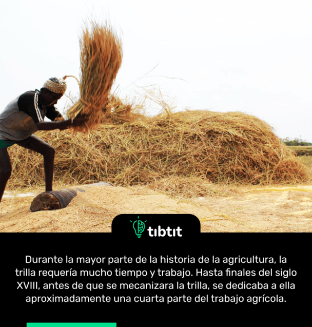 Durante la mayor parte de la historia de la agricultura, la trilla requería mucho tiempo y trabajo. Hasta finales del siglo XVIII, antes de que se mecanizara la trilla, se dedicaba a ella aproximadamente una cuarta parte del trabajo agrícola.