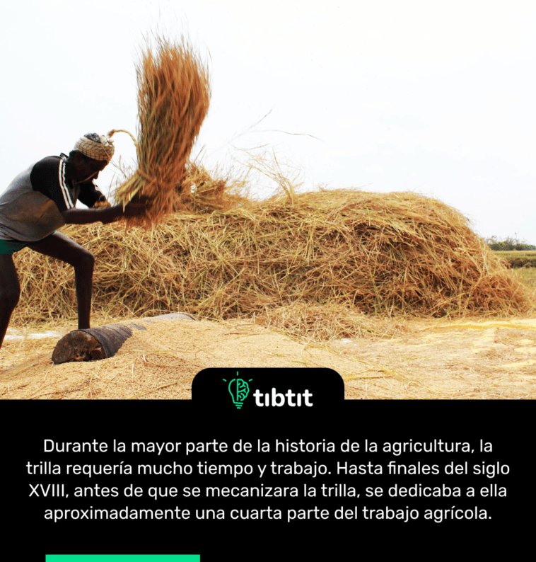 Durante la mayor parte de la historia de la agricultura, la trilla requería mucho tiempo y trabajo. Hasta finales del siglo XVIII, antes de que se mecanizara la trilla, se dedicaba a ella aproximadamente una cuarta parte del trabajo agrícola.