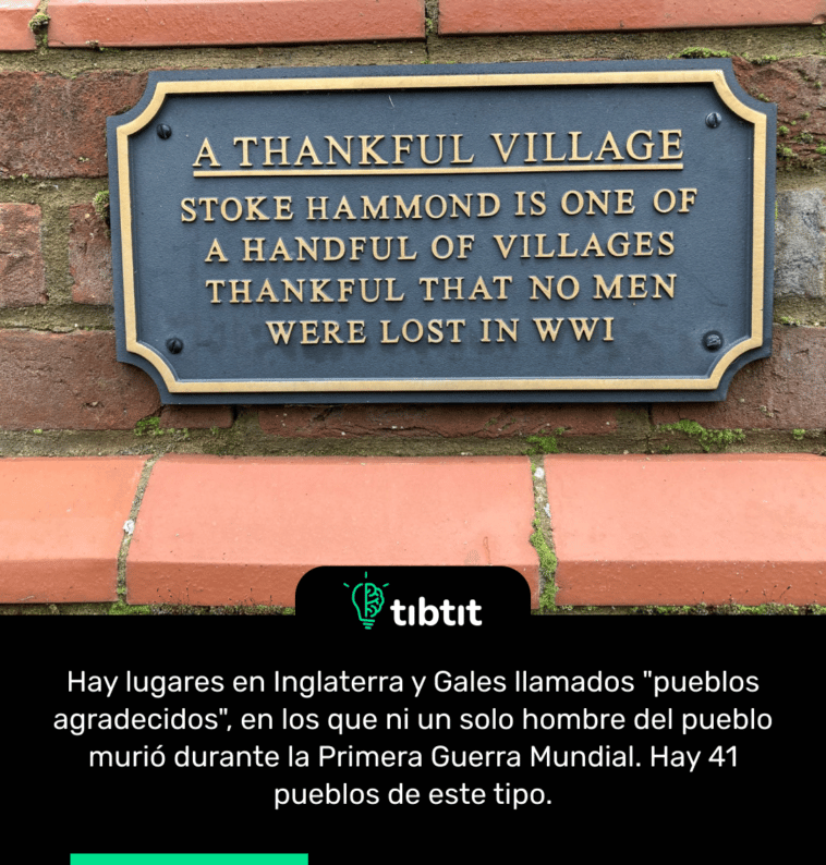 Hay lugares en Inglaterra y Gales llamados "pueblos agradecidos", en los que ni un solo hombre del pueblo murió durante la Primera Guerra Mundial. Hay 41 pueblos de este tipo.