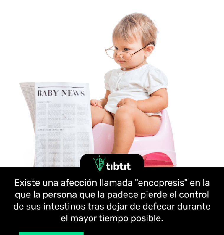 Existe una afección llamada "encopresis" en la que la persona que la padece pierde el control de sus intestinos tras dejar de defecar durante el mayor tiempo posible.