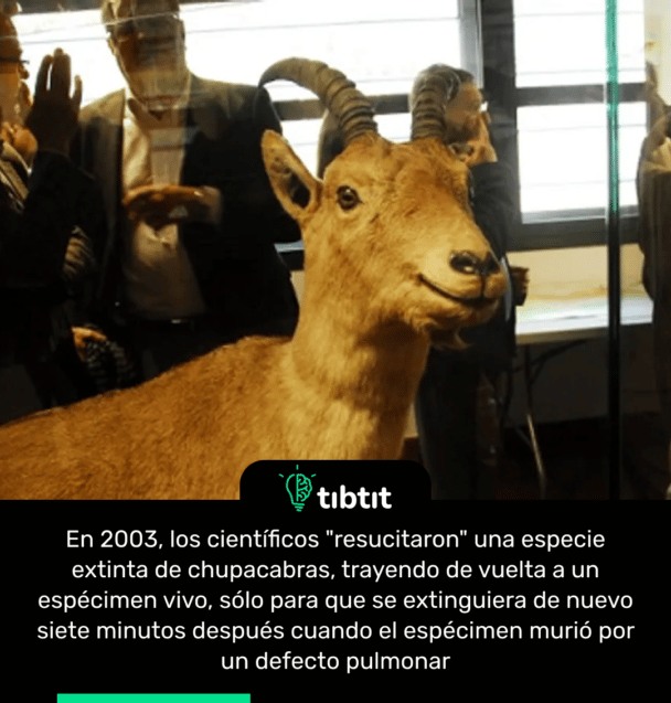 En 2003, los científicos "resucitaron" una especie extinta de chupacabras, trayendo de vuelta a un espécimen vivo, sólo para que se extinguiera de nuevo siete minutos después cuando el espécimen murió por un defecto pulmonar