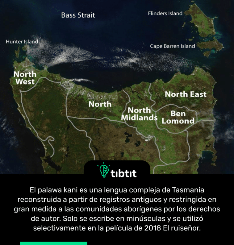 El palawa kani es una lengua compleja de Tasmania reconstruida a partir de registros antiguos y restringida en gran medida a las comunidades aborígenes por los derechos de autor. Solo se escribe en minúsculas y se utilizó selectivamente en la película de 2018 El ruiseñor.
