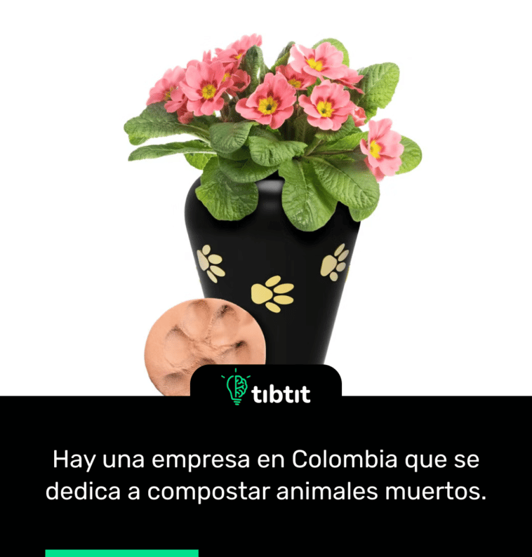 Hay una empresa en Colombia que se dedica a compostar animales muertos.