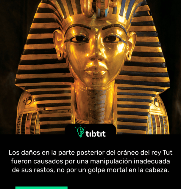 Los daños en la parte posterior del cráneo del rey Tut fueron causados por una manipulación inadecuada de sus restos, no por un golpe mortal en la cabeza.
